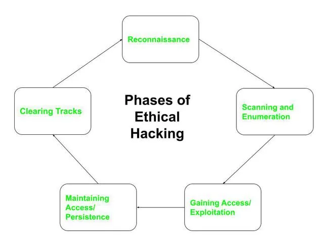 Phases Of Hacking